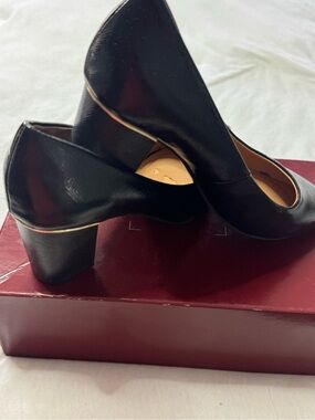 Native Shoes Black Block Heel Pointed Pumps with Gold Accent